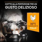 Purina Pro Plan Everyday Nutrition Medium Adult Chicken – Compleet voer voor volwassen honden van middelgroot formaat, 14 kg