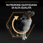 Purina Pro Plan Everyday Nutrition Medium Adult Chicken – Compleet voer voor volwassen honden van middelgroot formaat, 14 kg