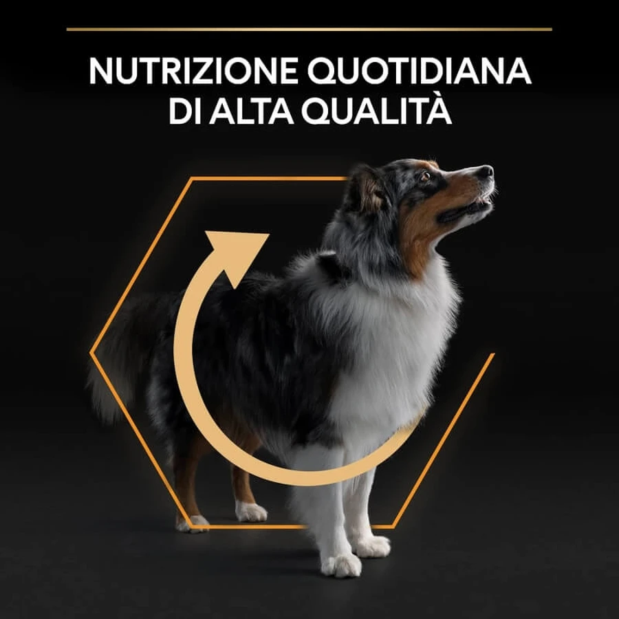 Purina Pro Plan Everyday Nutrition Medium Adult Chicken – Compleet voer voor volwassen honden van middelgroot formaat, 14 kg