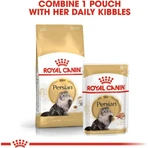 Royal Canin Persian - Pienso completo para gatos persas, 400 g