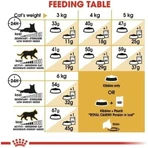 Royal Canin Persian - Pienso completo para gatos persas, 400 g