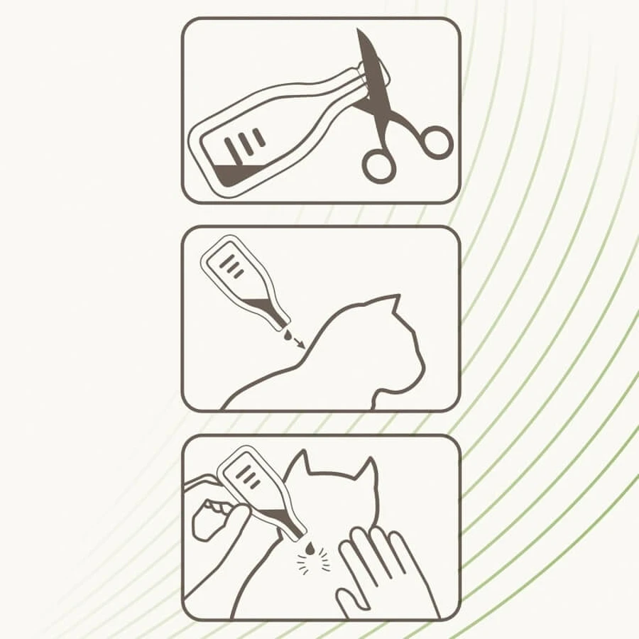 Beaphar Spot-on Shield – Natuurlijke bescherming voor kittens, 3 flacons