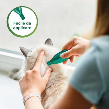 Beaphar Spot-on Shield – Natuurlijke bescherming voor kittens, 3 flacons