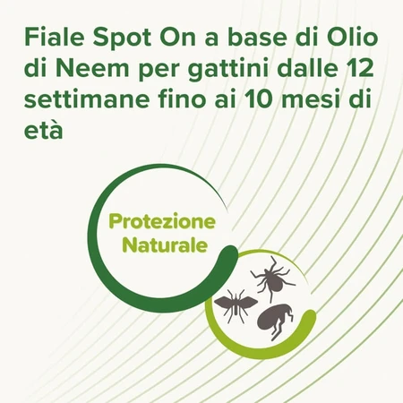 Beaphar Spot-on Shield – Natuurlijke bescherming voor kittens, 3 flacons