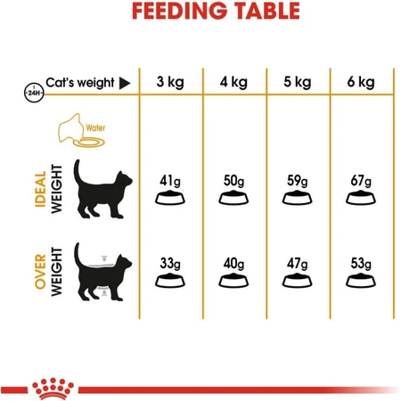 Royal Canin Hair &amp; Skin - Alimento completo para gatos adultos, 2 kg