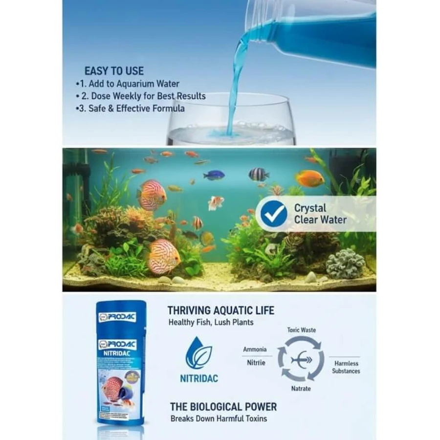 Prodac Nitridac – Flüssige Bakterienkultur für Aquarien, 100 ml