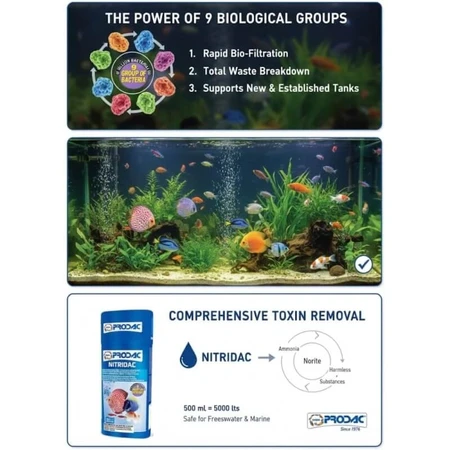 Prodac Nitridac – Flüssige Bakterienkultur für Aquarien, 100 ml
