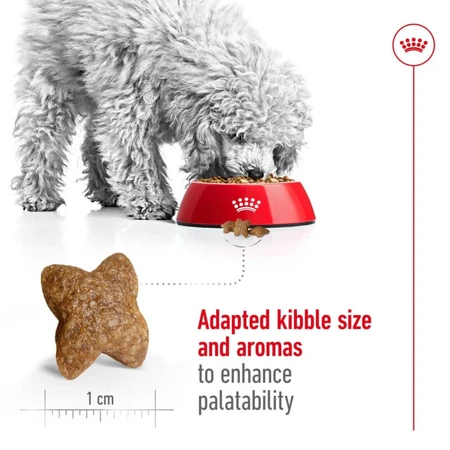Royal Canin Mini Adult - Croquettes pour chiens adultes de petite taille, 2 kg