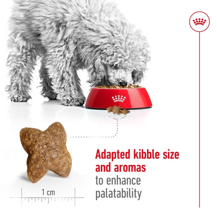 Royal Canin Mini Adult - Croquettes pour chiens adultes de petite taille, 2 kg