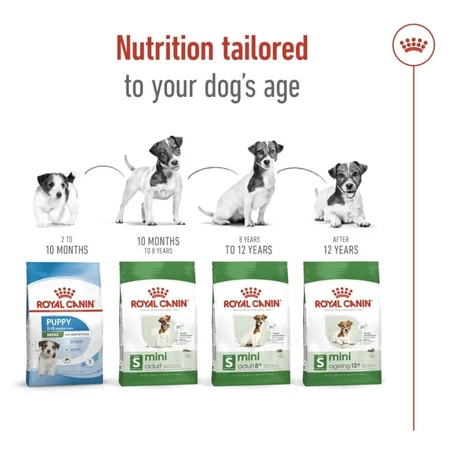 Royal Canin Mini Adult - Croquettes pour chiens adultes de petite taille, 2 kg
