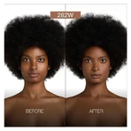 Diego dalla Palma It's a Filter Foundation - Foundation No. 282W