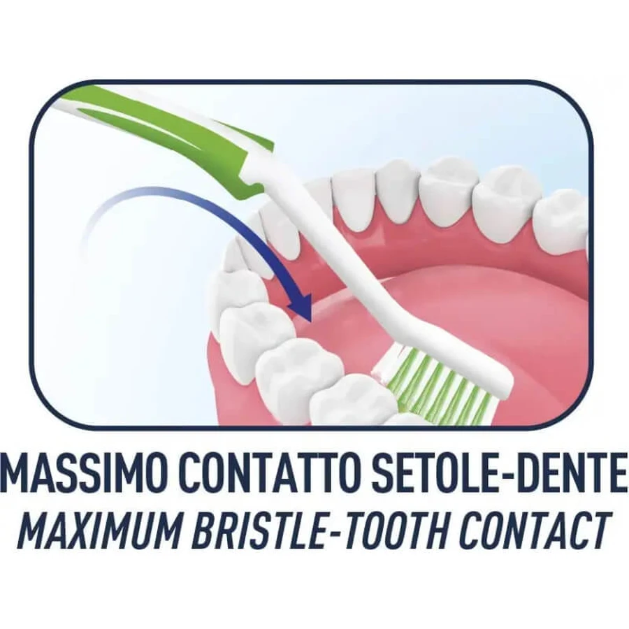 Biorepair Curve - Cepillo de dientes de protección total con cerdas medias