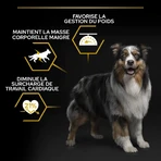 Purina Pro Plan Light Pollo - Alimento completo para perros adultos de todos los tamaños (esterilizados/castrados) Light 14 kg