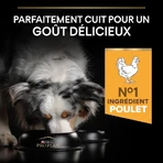 Purina Pro Plan Light Pollo - Alimento completo para perros adultos de todos los tamaños (esterilizados/castrados) Light 14 kg