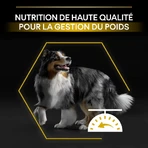 Purina Pro Plan Light Pollo - Alimento completo para perros adultos de todos los tamaños (esterilizados/castrados) Light 14 kg