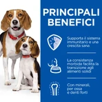 Hill's Science Plan Puppy & Mother Tender Chicken Mousse – kompletna karma w postaci musu dla szczeniąt i matek, 200 g: ceny i cechy