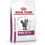 Royal Canin Renal Special - Dietary Food for Cats with Kidney Disease, 2 kg
