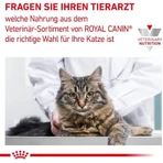 Royal Canin Renal Special - Dietary Food for Cats with Kidney Disease, 2 kg