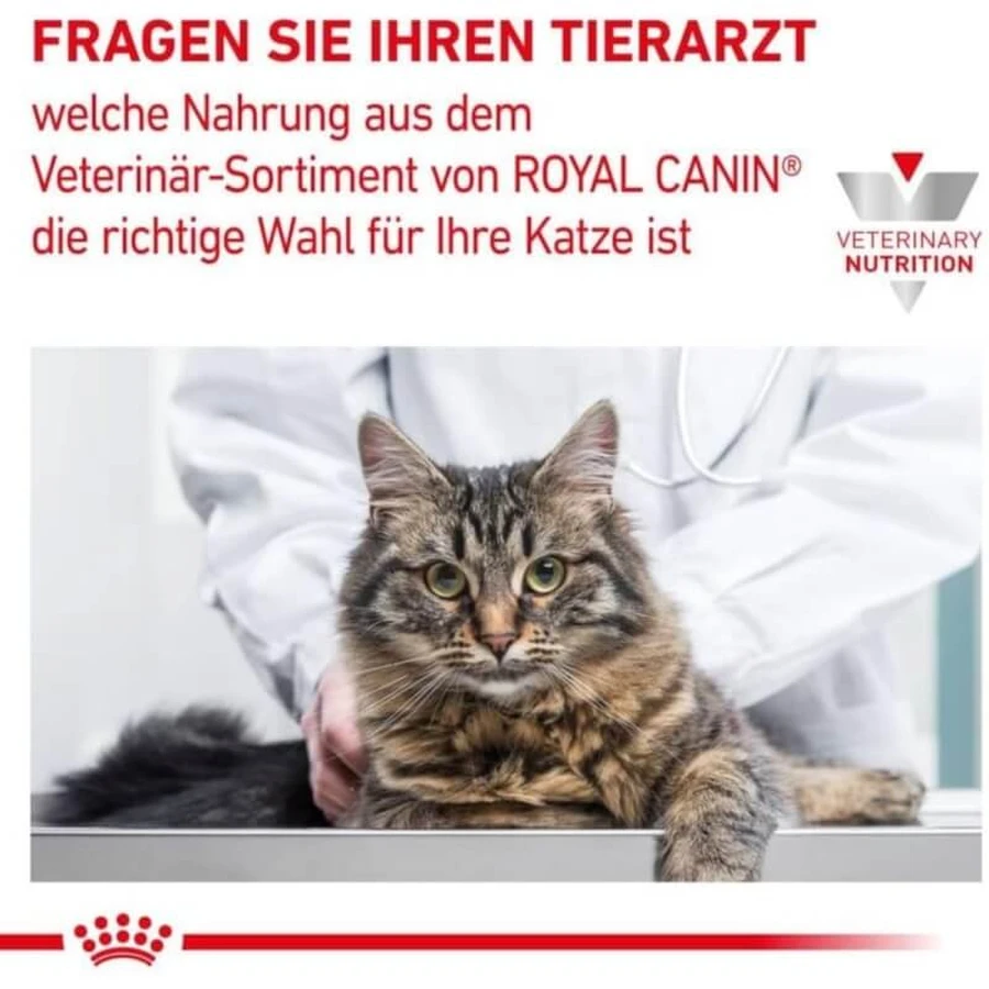 Royal Canin Renal Special - Dietary Food for Cats with Kidney Disease, 2 kg