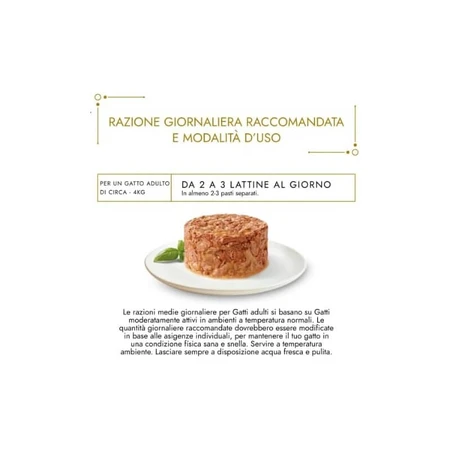 Purina Gourmet Gold Mix Bites - Complete Food for Adult Cats, 24 x 85 g