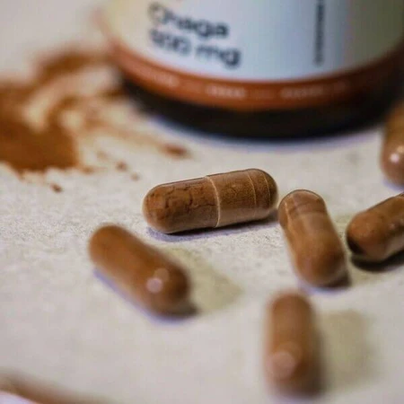 Wellbear Chaga (Inonotus obliquus) 500 mg, Kapseln, 60 Kapseln