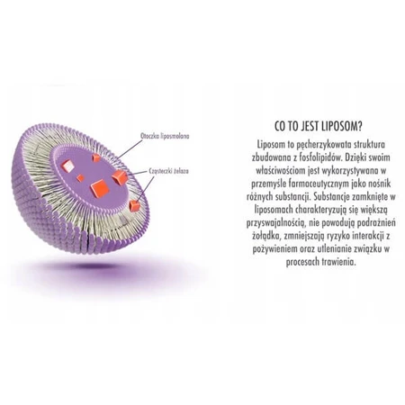 Noctua Noctaferr, capsules, 30 stuks.