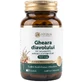 Griffe du diable 700 mg — 60 gélules à base d'extrait concentré de racine pour favoriser la santé des articulations, la mobilité et la souplesse | Plantes médicinales traditionnelles