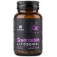 Liposomales Quercetin – 60 Kapseln mit liposomalem Extrakt aus dem japanischen Pagodenbaum zur Allergiebehandlung, zur Linderung von Atemwegsbeschwerden und zur Stärkung des Immunsystems