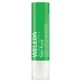 Weleda Skin Food Lip Balm 4.8 g