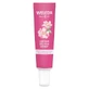 Crema suavizante para el contorno de los ojos de Weleda con rosa mosqueta y té blanco, 12 ml