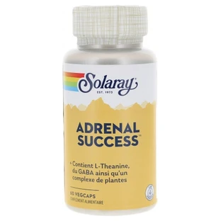 Solaray Adrenal Success 60 vegetarische capsules