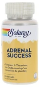 Solaray Adrenal Success 60 vegetarische Kapseln