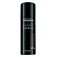 L'Oréal Professionnel Hair Touch Up L'Oréal Pro Hair Touch Up Chestnut