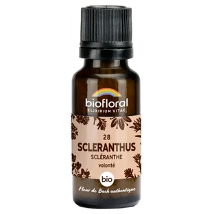 Biofloral Granules 28 Scleranthus – ekologiczny Scleranthus 19,5 g