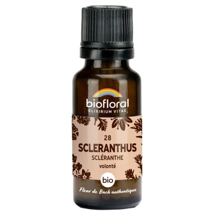 Biofloral Granules 28 Scleranthus – ekologiczny Scleranthus 19,5 g: ceny i cechy