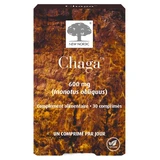 New Nordic Chaga 600 mg, 30 Tablets