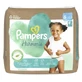 Pampers Harmonie talla 5, 31 pañales, envase reciclado (11–16 kg)