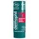Dermophil Indian Organic Repair Stick for Damaged Lips, 4 g