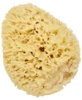 Esponja marina natural Cartel Paris, 14 cm