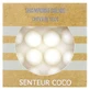 Valdispharm Solid Shampoo for Dry Hair, Coconut Scent, 55 g