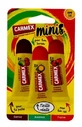 Carmex Baume à Lèvres Minis Tubes SPF15 3 x 5 g