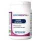 Nutergia Ergymental+ 60 Kapseln