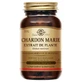 Solgar Extrait de Plante de Chardon Marie 60 Gélules Végétales