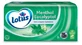 Lotus Menthol Eucalyptol, Schachtel mit 72 Taschentüchern