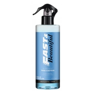 Ducastel Pro Spray Bi-Phase Fast & Beautiful Ducastel Pro 400ml