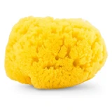 Esponja natural de mar Chicco, tamaño mediano, a partir de 0 meses