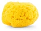 Chicco Natural Sea Sponge, Medium, 0 Months and Up