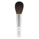 Eye Care Powder Brush