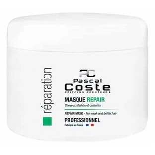 Pascal Coste Masque professionnel Repair 500 ml