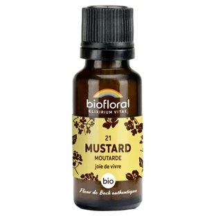 Biofloral Granules 21 Mustard - Moutarde Bio 19,5 g